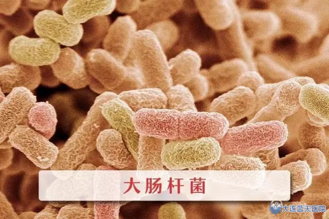 大連胃腸醫院專家提醒您:口臭,你是否注意到你的腸胃?